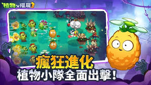 植物大战僵尸3布局攻略是什么