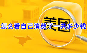 如何查看美团消费总额