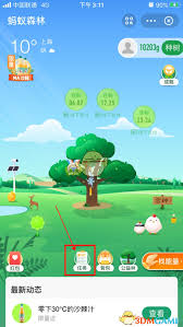 如何玩支付宝蚂蚁森林