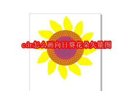 cdr如何绘制向日葵花朵矢量图
