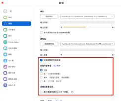 如何开启Zoom自动调整音量