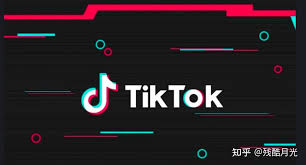 TikTok无法登录账户的原因是什么