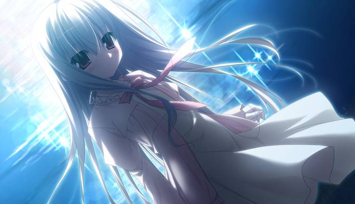 伊甸园galgame正版