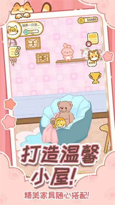 领养一只流浪猫免广告版