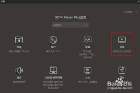GOMPlayer怎么启用调节视频大小功能