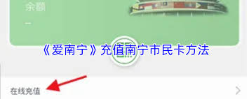 爱南宁如何给市民卡充值