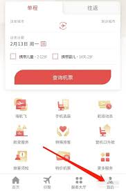 海南航空app如何查看行李信息