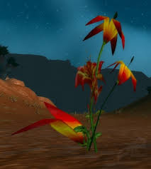 魔兽世界火焰花是什么