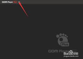 GOMPlayer如何设置仅打开选择的文件
