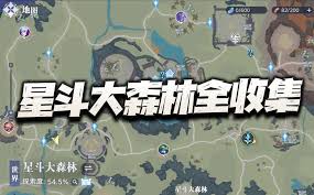 斗罗大陆猎魂世界星斗大森林宝箱位置在哪