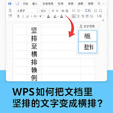 WPS如何把字体横竖转换