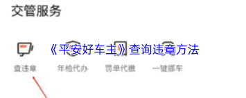 平安好车主怎么查违章详细地点 平安好车主上查询违章准确吗