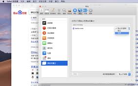 Safari浏览器频繁弹出请求通知如何解决