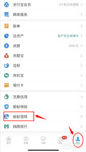 蚂蚁花呗怎么积分