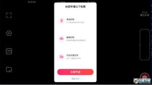 promovie删除的视频如何恢复