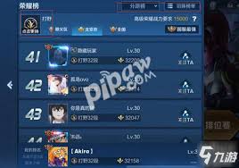 王者荣耀为何不显示分路