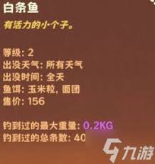 猫猫钓游记背包系统怎么玩