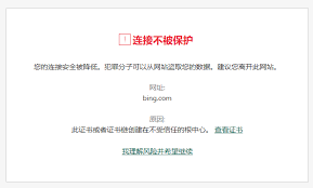 如何查看与验证Bing浏览器安全证书