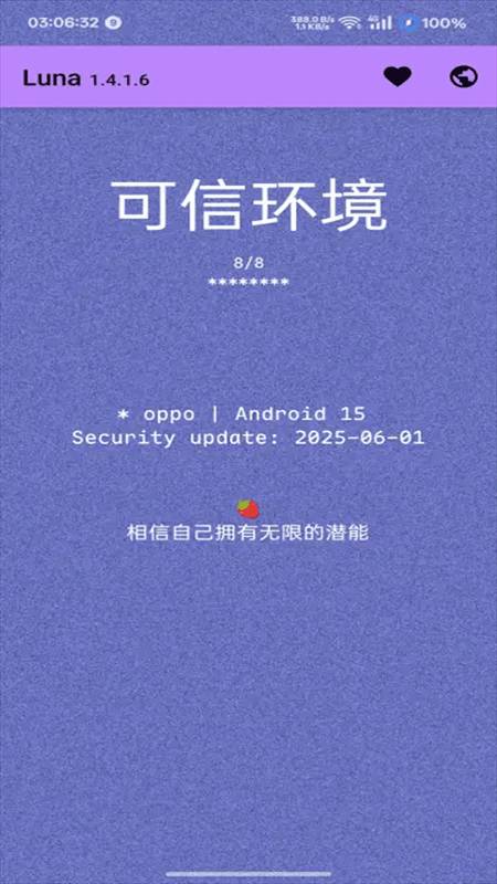 Luna环境检测工具2025最新版