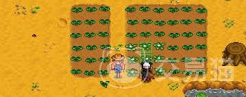 星露谷物语一个稻草人能守护多少地块