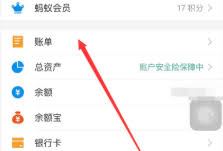 如何删除支付宝账单里的银行卡明细