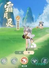 灵兽大冒险手游怎么玩