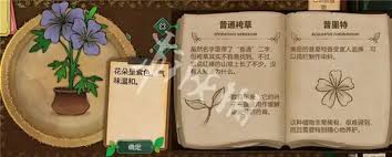 奇异园艺中贝洛克药剂如何制作