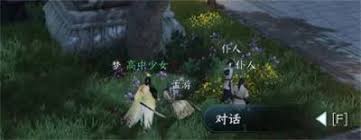 亚洲之子驻地代表怎么玩