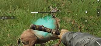 失控进化开局如何发育