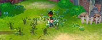 牧场物语风之繁华集市春季全流程攻略分享