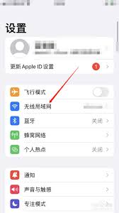 苹果手机能否查看已连接的wifi密码