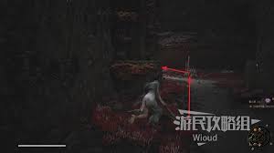 明末渊虚之羽怎么收集10个羽族遗骸