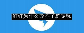 钉钉群内为何不能更改昵称