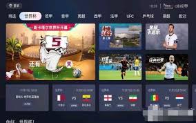 央视频如何查看世界杯回放