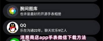 如何安装洋葱商店app