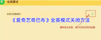 爱奇艺奇巴布英文设置方法