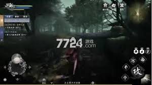 九灵神域中最吃香的职业是什么