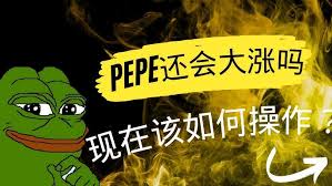 pepe币还会大涨吗