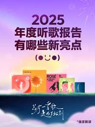 如何下载网易云音乐2025年度听歌报告
