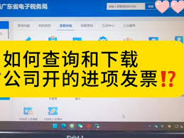 如何查询公司开的发票