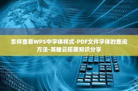 WPS如何查看字体样式