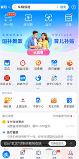 育儿补贴发放渠道有哪些