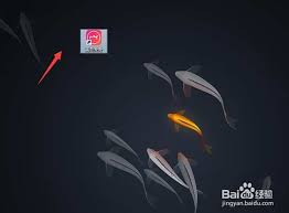 美图秀秀如何给照片上妆