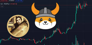 FLOKI能涨到什么价位