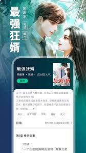 番薯小说怎么进行搜索