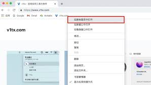 谷歌浏览器如何设置打开书签时新开页面