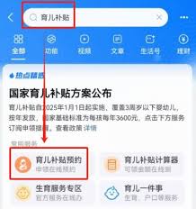 2025育儿补贴申请入口官网在哪