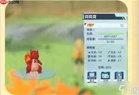 口袋新旅途新手怎么玩