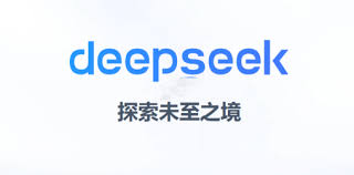 deepseek联网搜索是什么