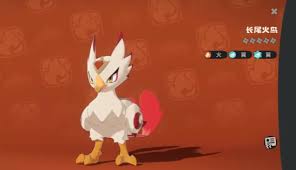 洛克王国世界长尾火鸟怎么样